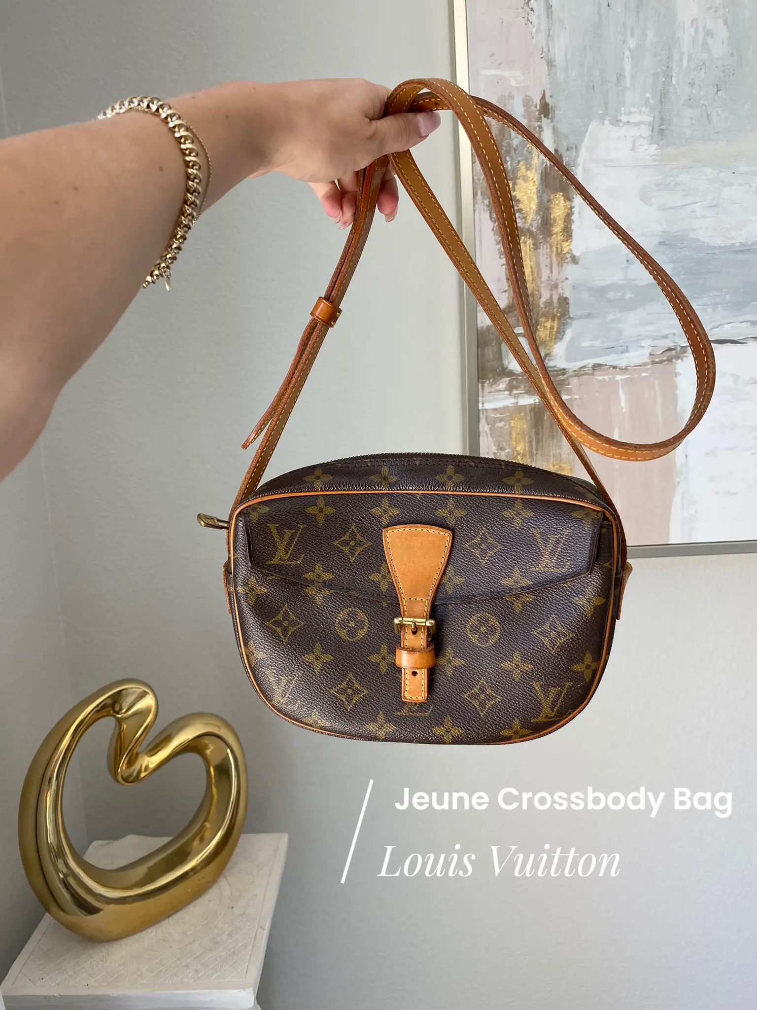 My Louis Vuitton Bag Collection  Gallery posted by Caitlin Eliza
