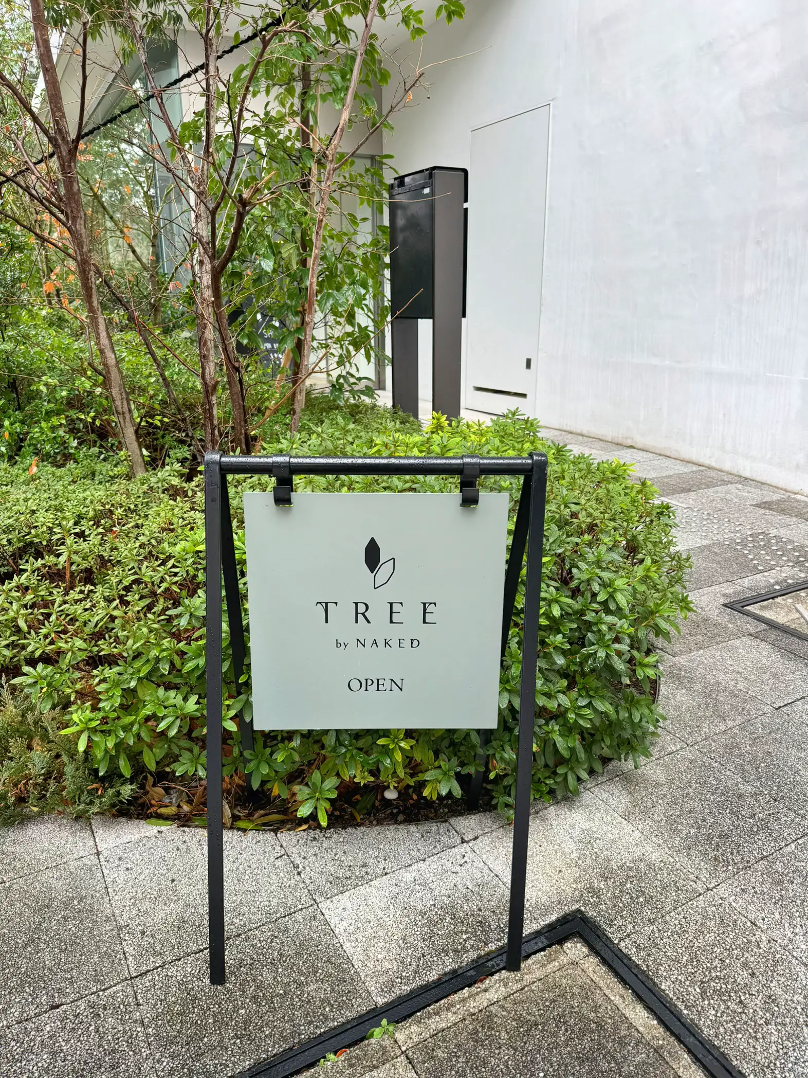 Meiji Park 】 ☕️ TREE by NAKED Meiji park | Gallery posted by Noona_cafe |  Lemon8