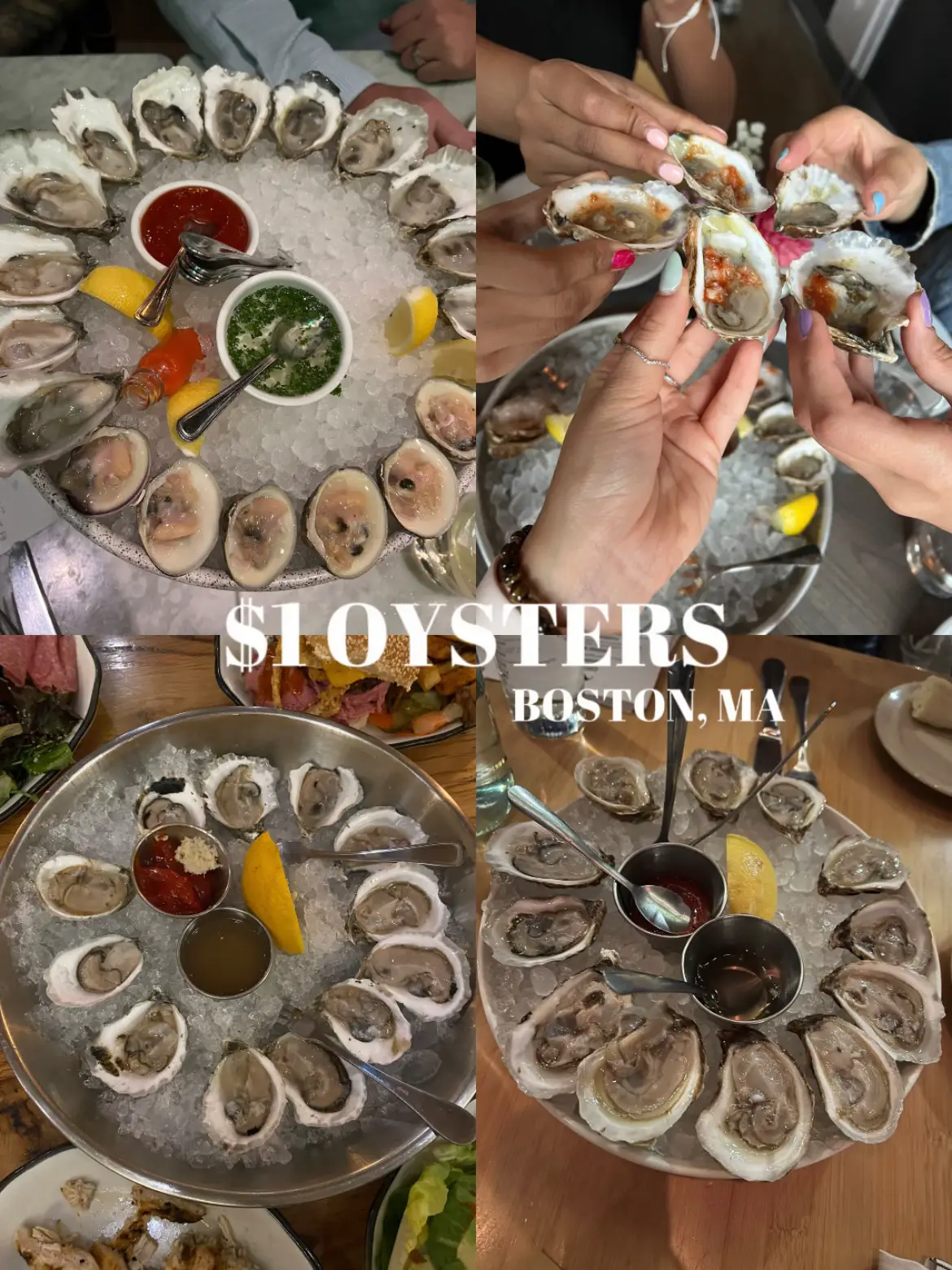 1 OYSTERS IN BOSTON แกลเลอรีที่โพสต์โดย asli 🧚🏼‍♀️ Lemon8