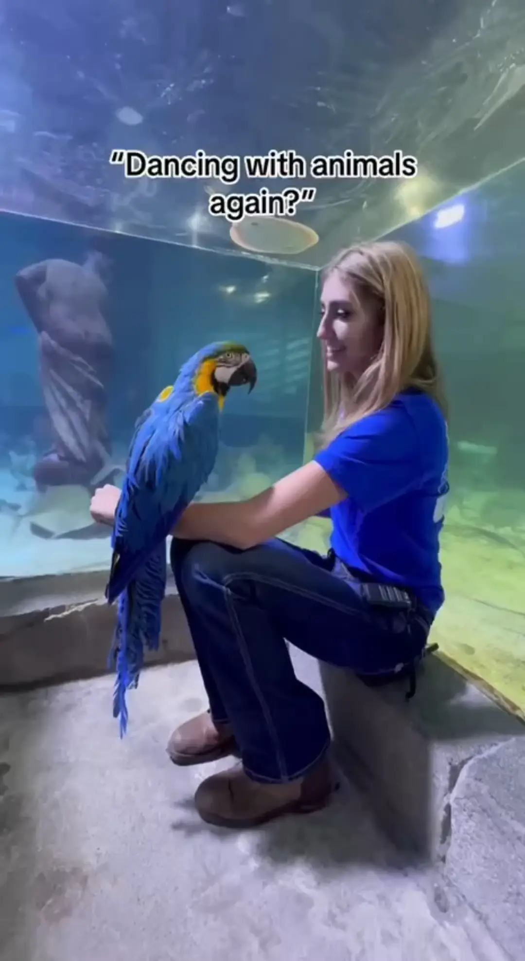 Watch our dancing Parrot 🦜 | Video published by VisitSeaQuest | Lemon8