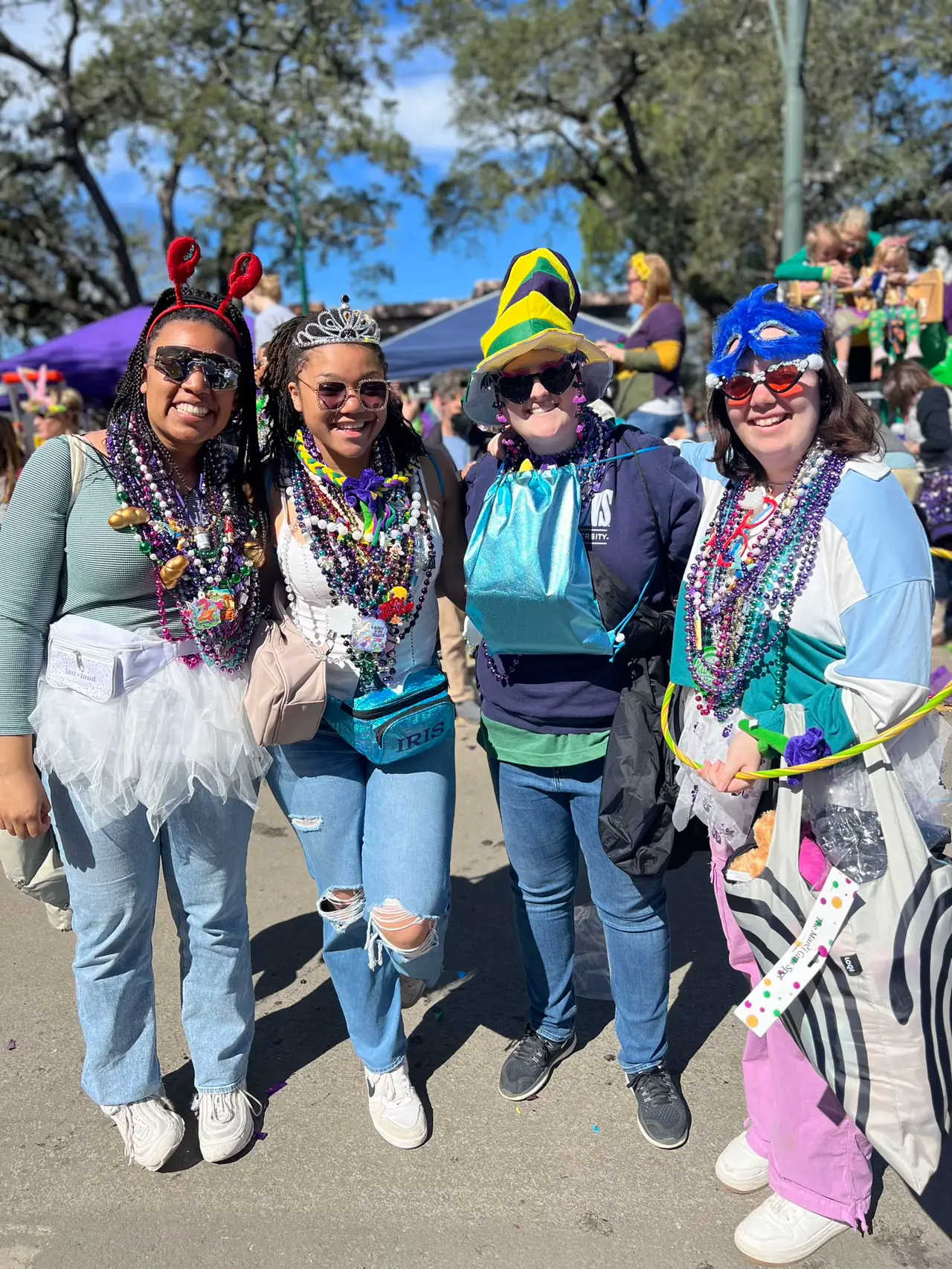 Mardi Gras Parade and Its Social Impact in Louisiana - Lemon8 Search