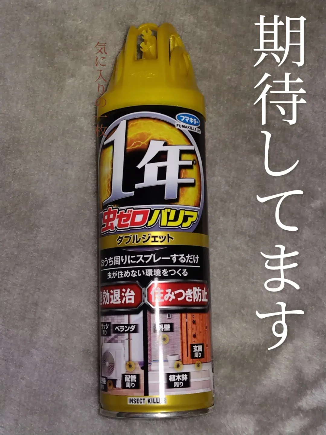 Fungal Spray for Houseplants Lemon8検索