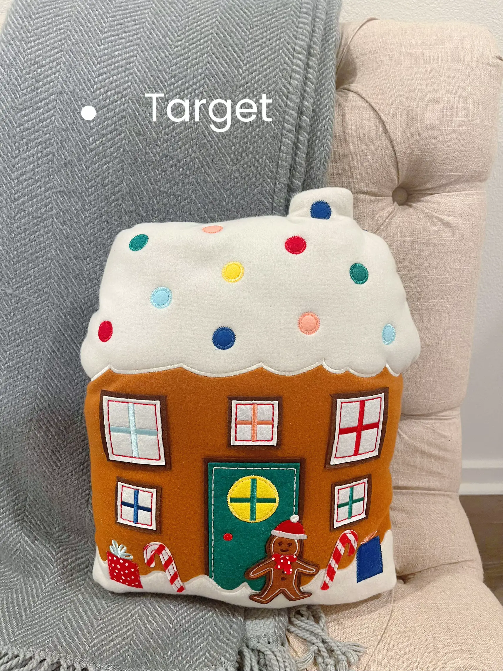 Cookie on sale pillow target