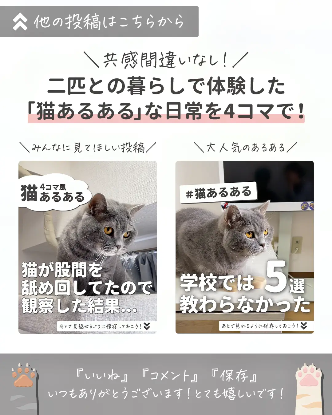 猫あるある｜クリームパンを盗み食いしようとしたら... | ねこある｜猫