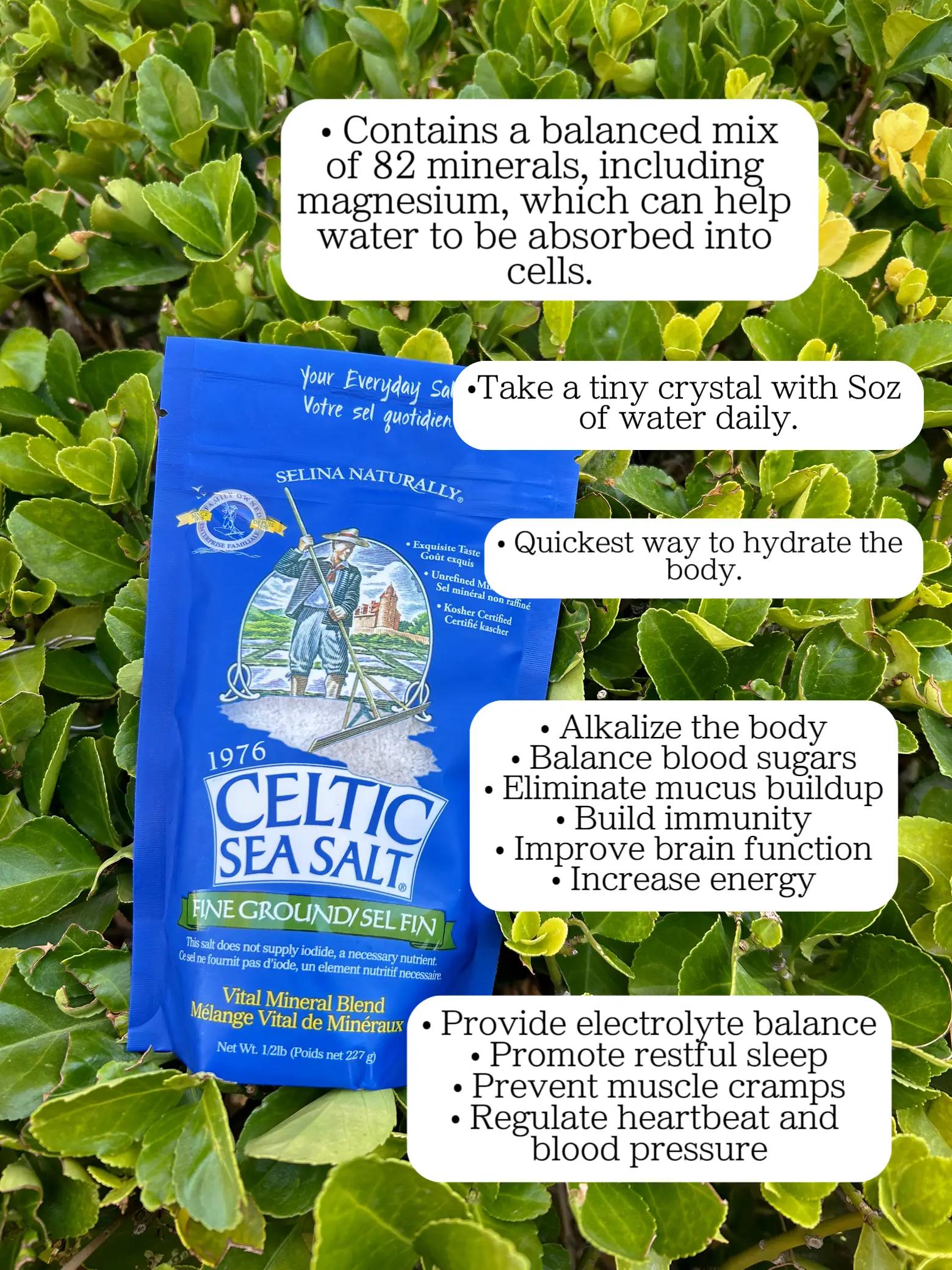Selina Naturally Celtic Sea Salt Fine Ground Bagged, 0.5 lb