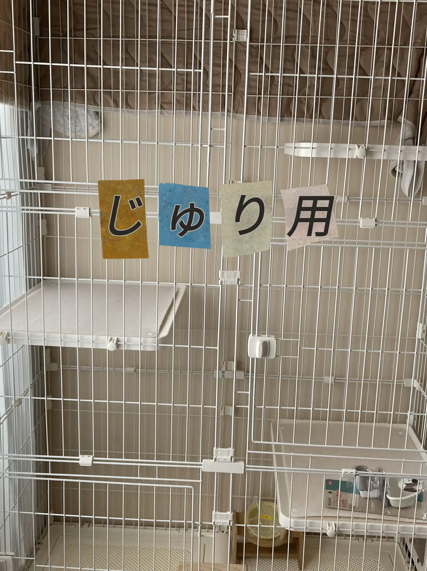 猫ちゃん達の部屋作り中 | じゅぶちん🐈🐈が投稿したフォトブック | Lemon8