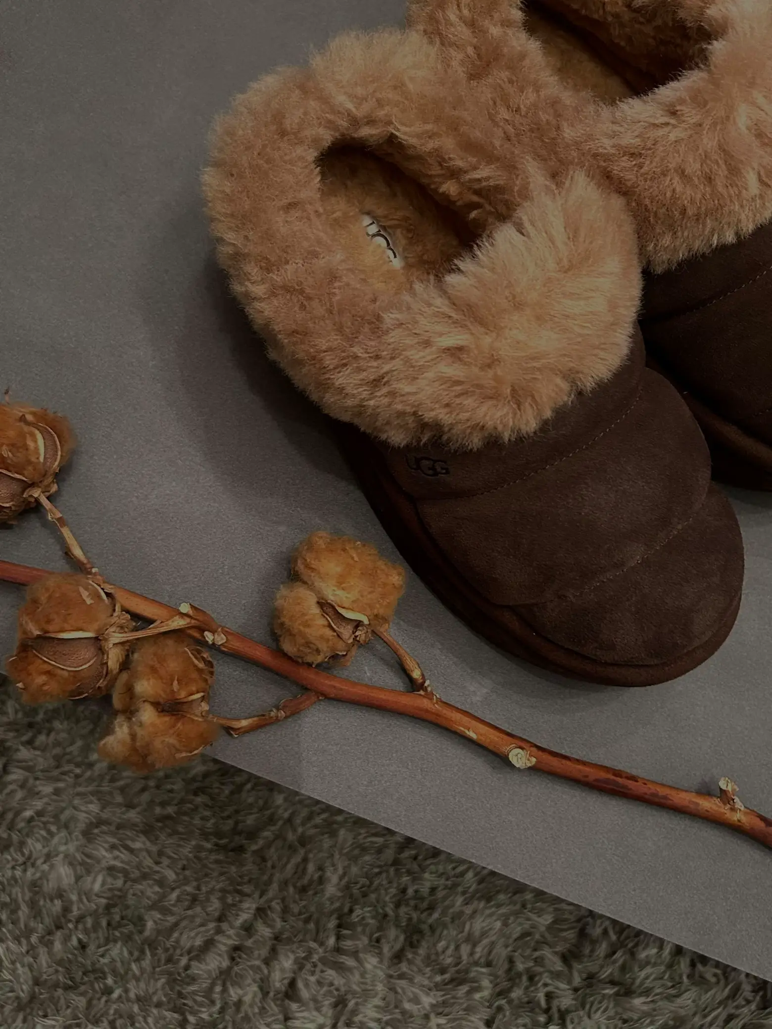 UGG タズリータ チェスナット24㎝（UGG Tazzlita | Yukinoが投稿