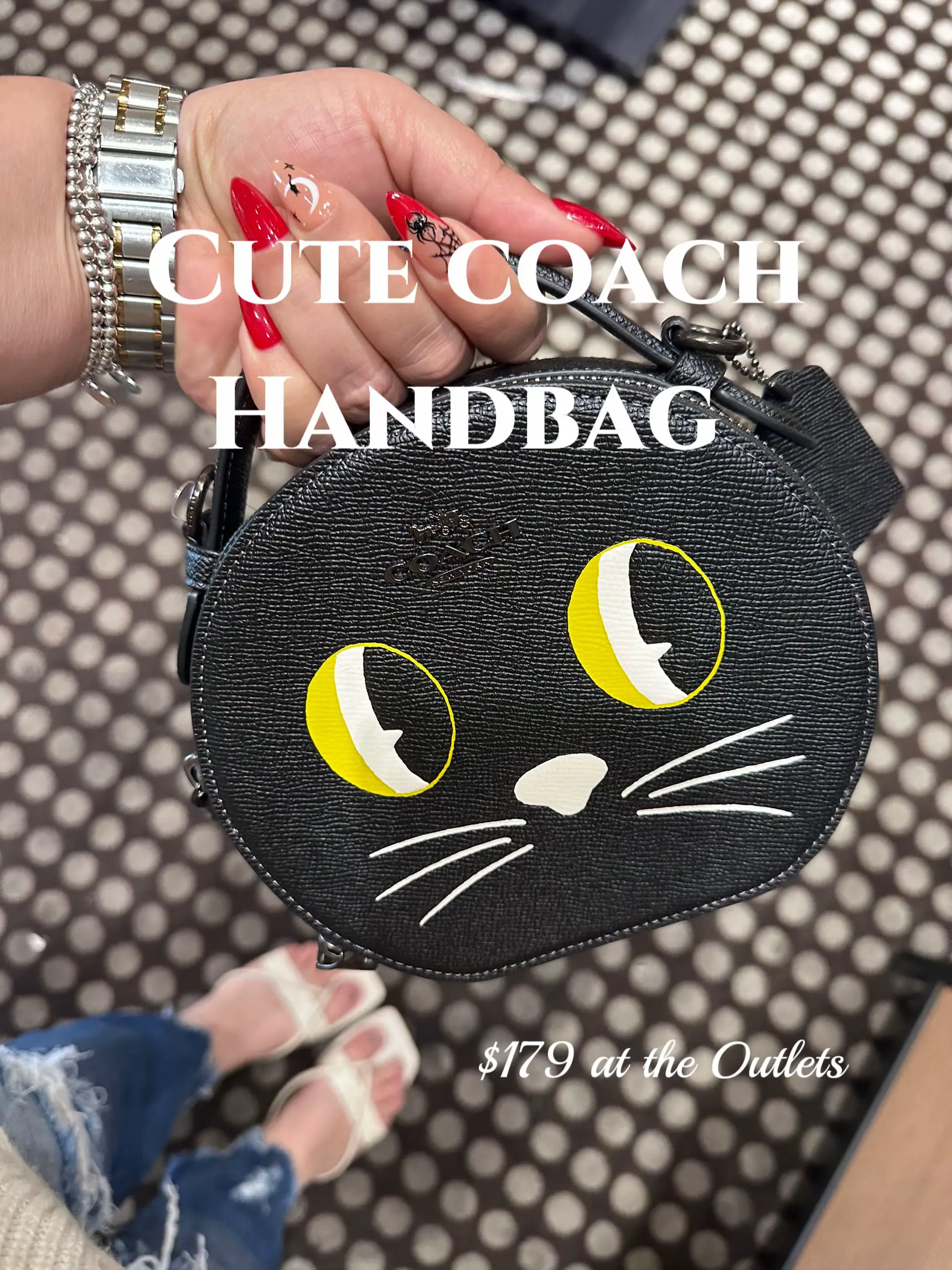 Coach best sale cat purse