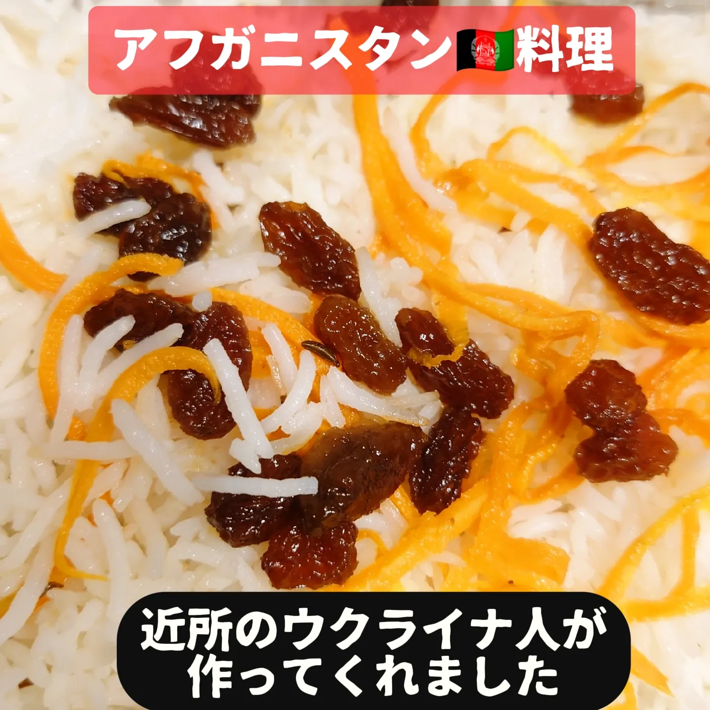 アフガンノマドリングＤ アフガンノマドリングN