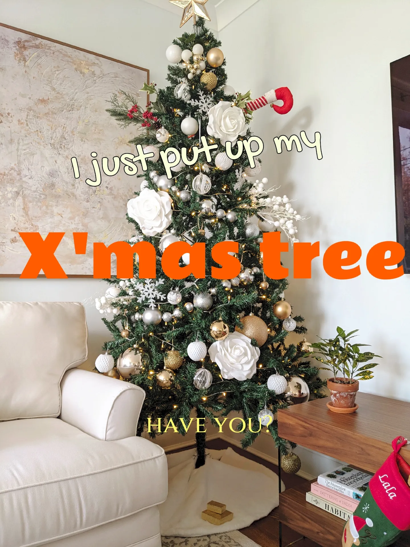 Come put up the Christmas tree with me 🥳 แกลเลอรีที่โพสต์โดย Adriana