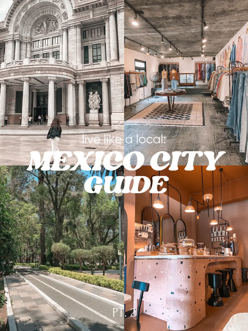 How to Live Like a Local in Mexico City