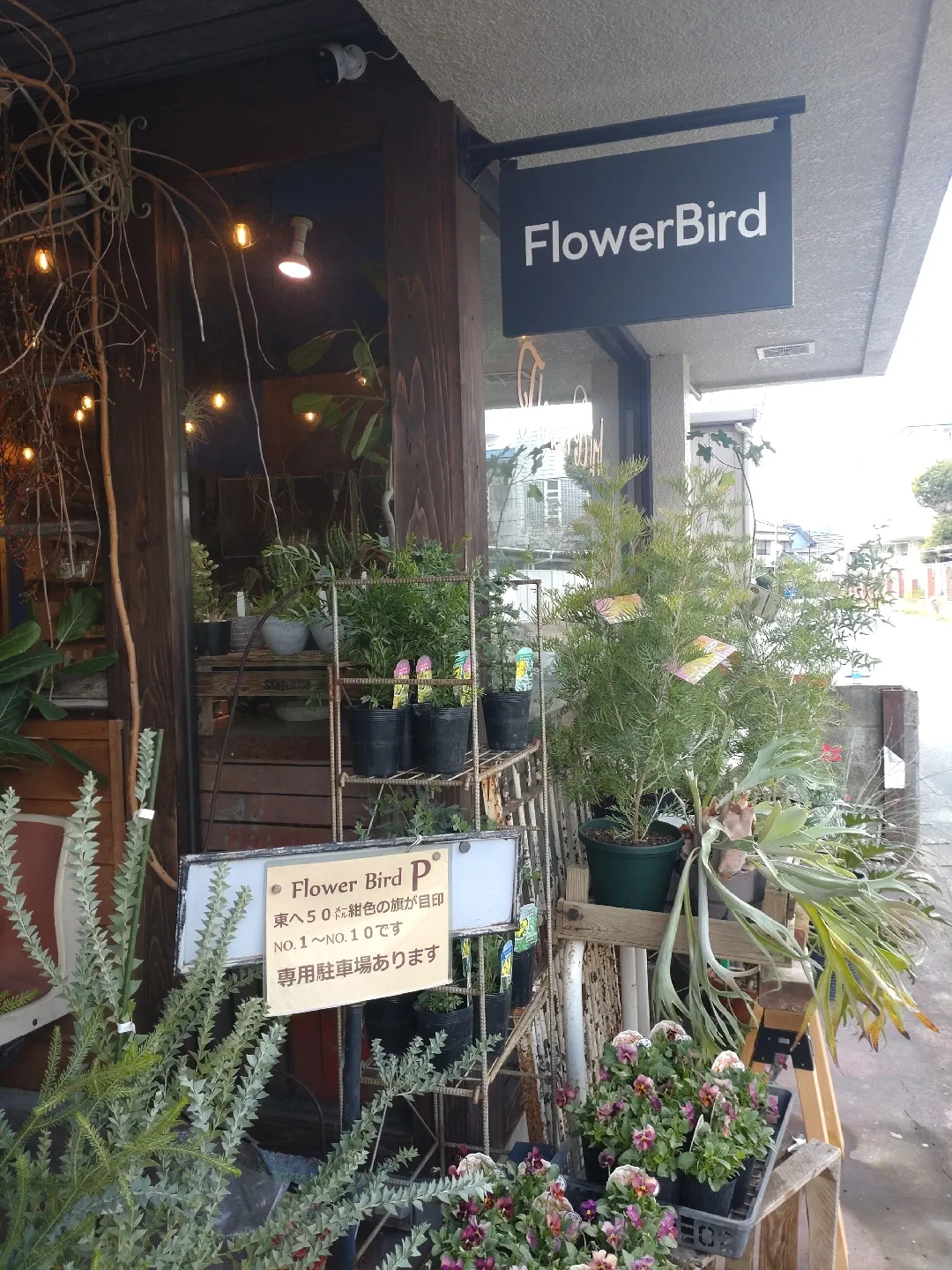 Cute flower shop in Chikugo | Gallery posted by 紀子 | Lemon8