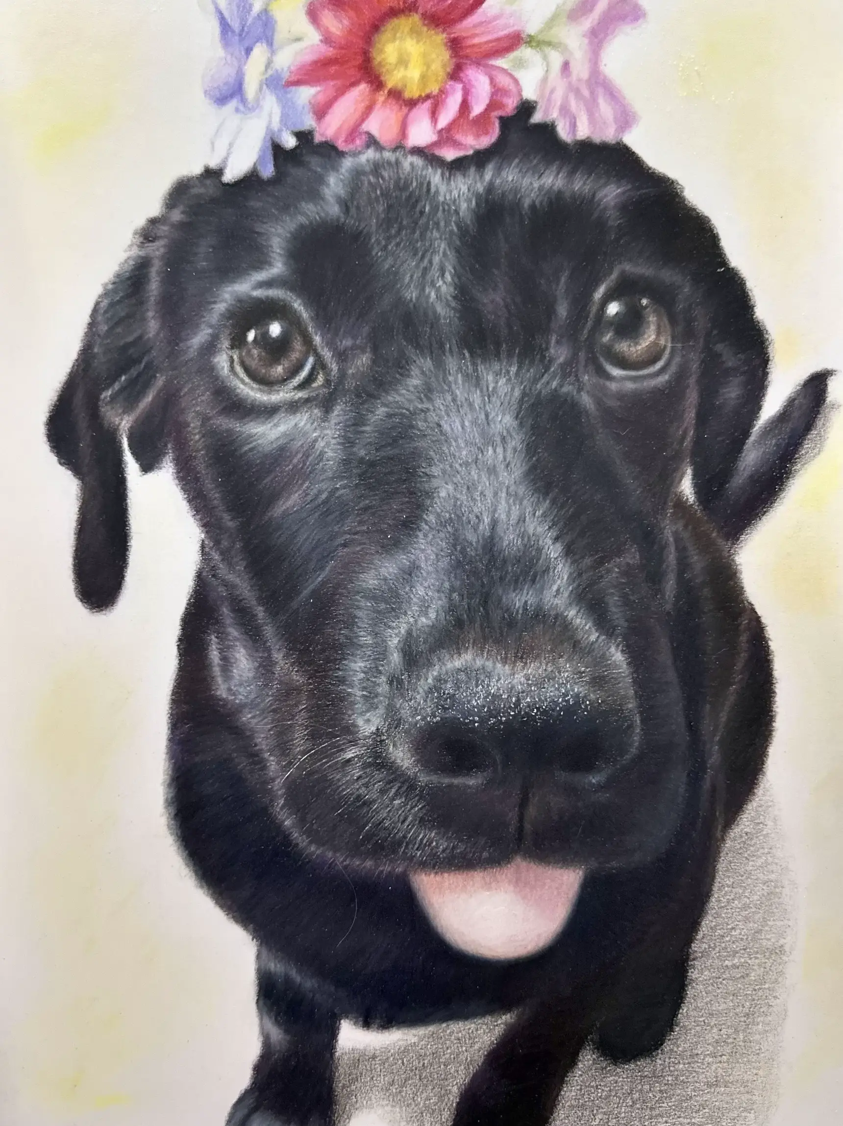 色鉛筆で描いた子犬 | ここまるが投稿したフォトブック | Lemon8