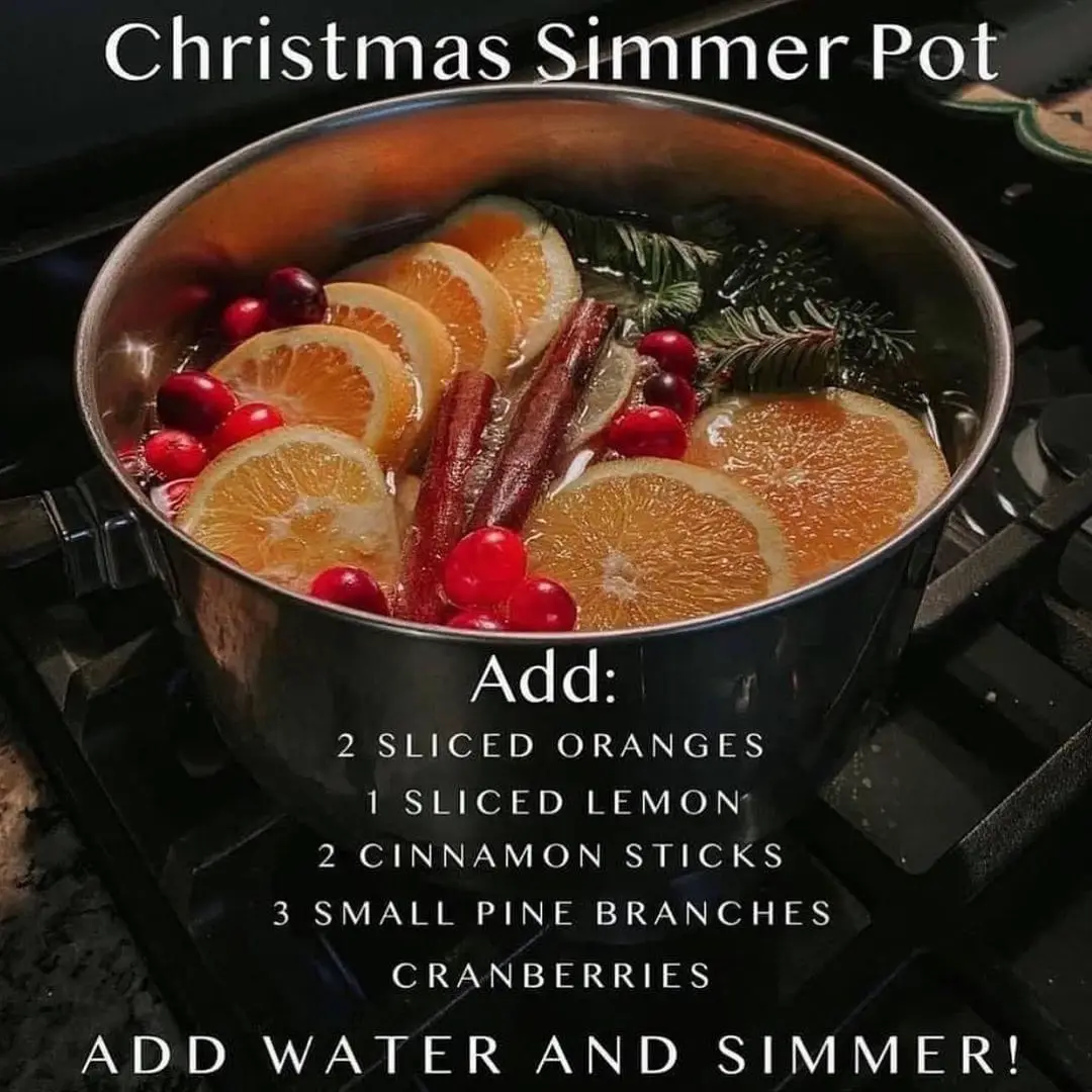 Mini Simmer Pot - Pine