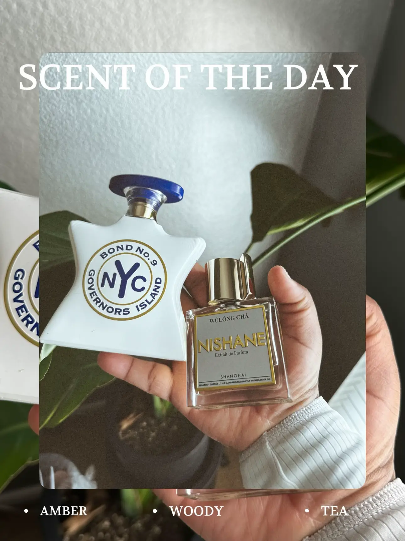 SCENT OF THE DAY Gallery posted by Jayde Daniel Lemon8