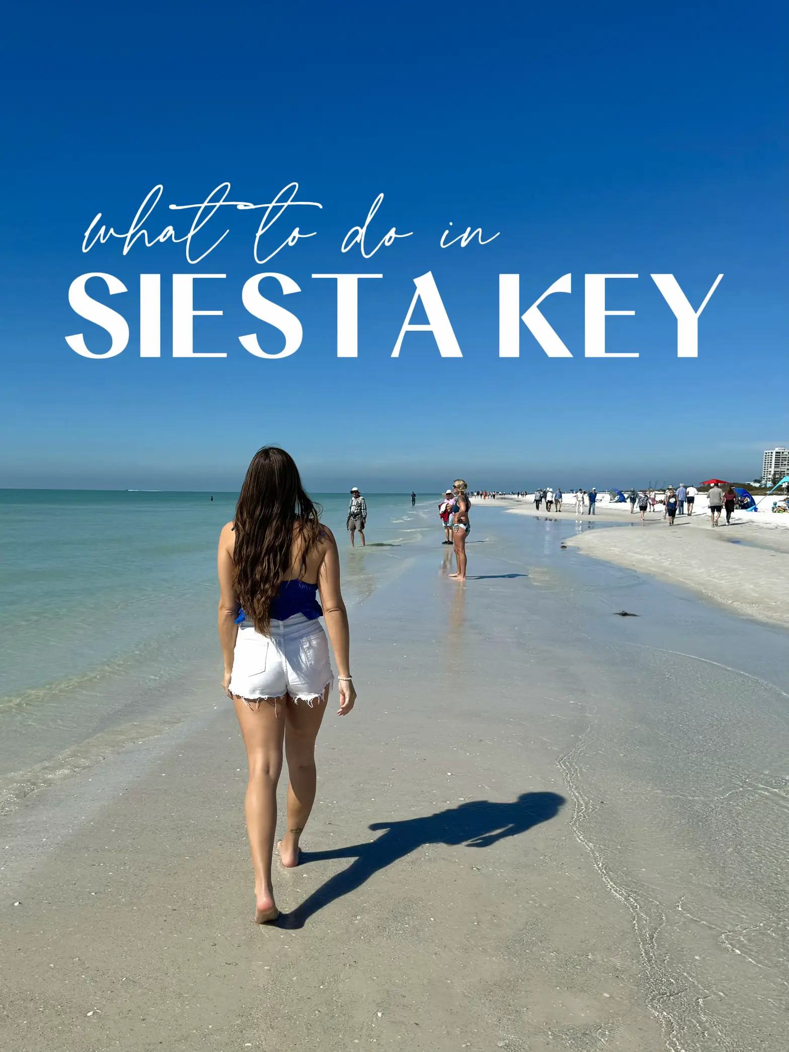 Siesta Key Florida - Lemon8 Search