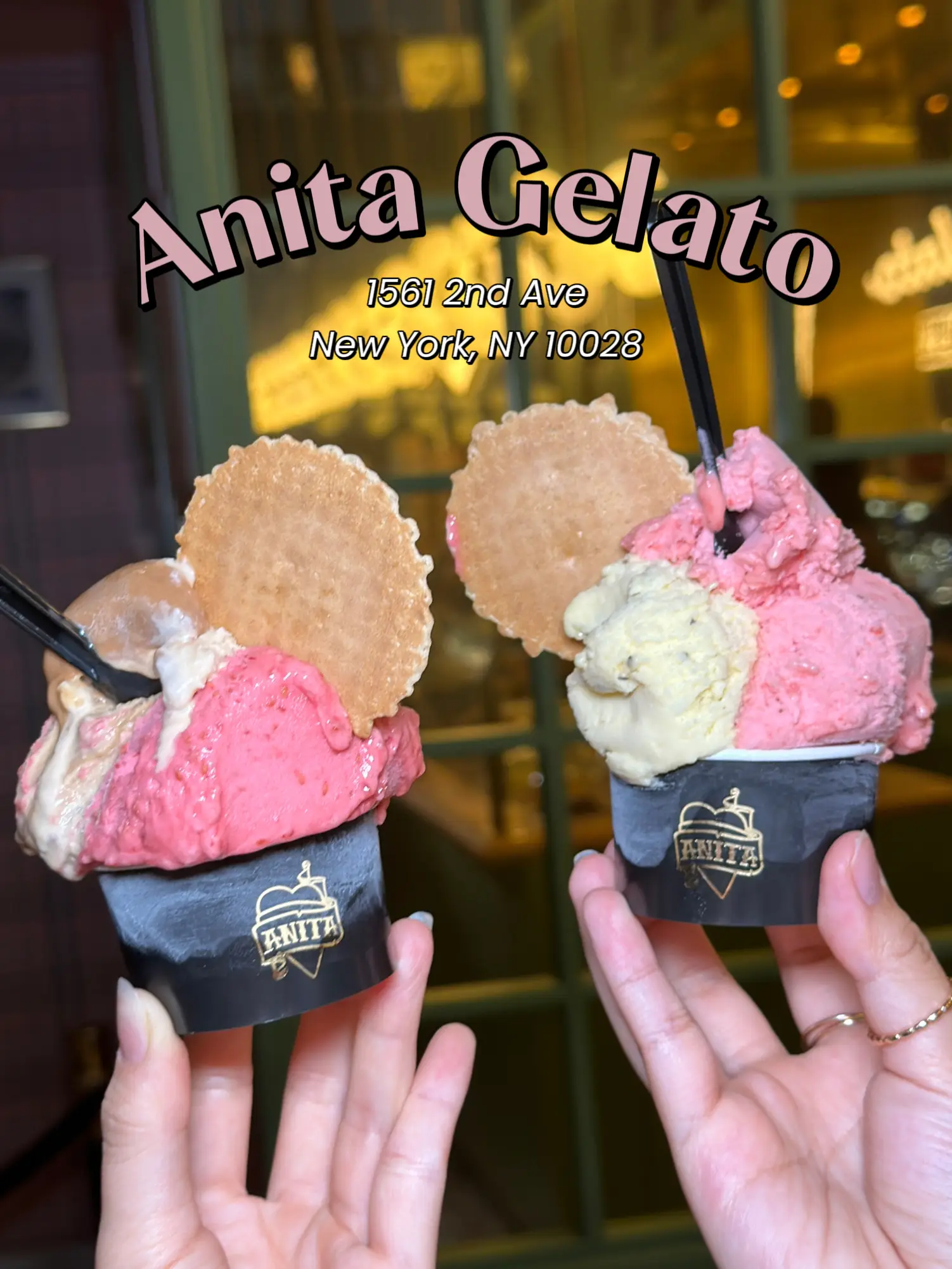 Anita ice deals cream