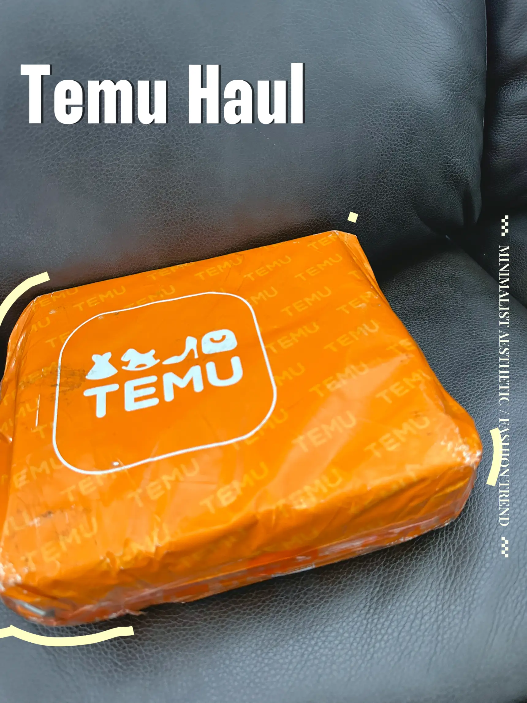 My Temu Haul: More Useful Household Items Do you Need These To? 