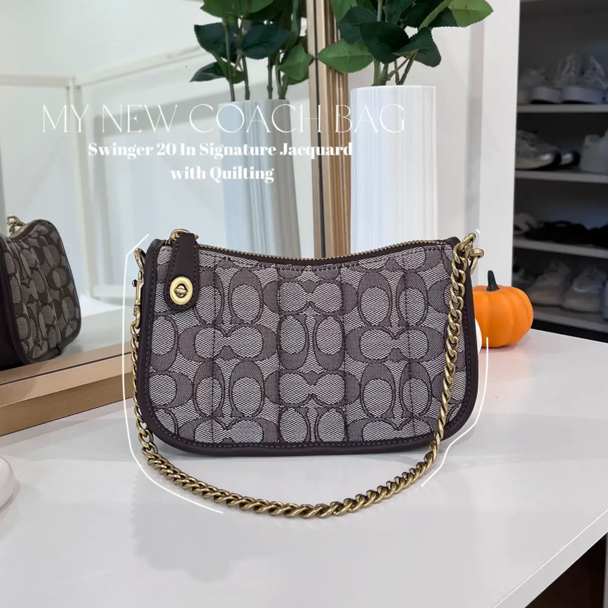 Coach Mini Signature 20 Jacquard and Leather Swinger Bag