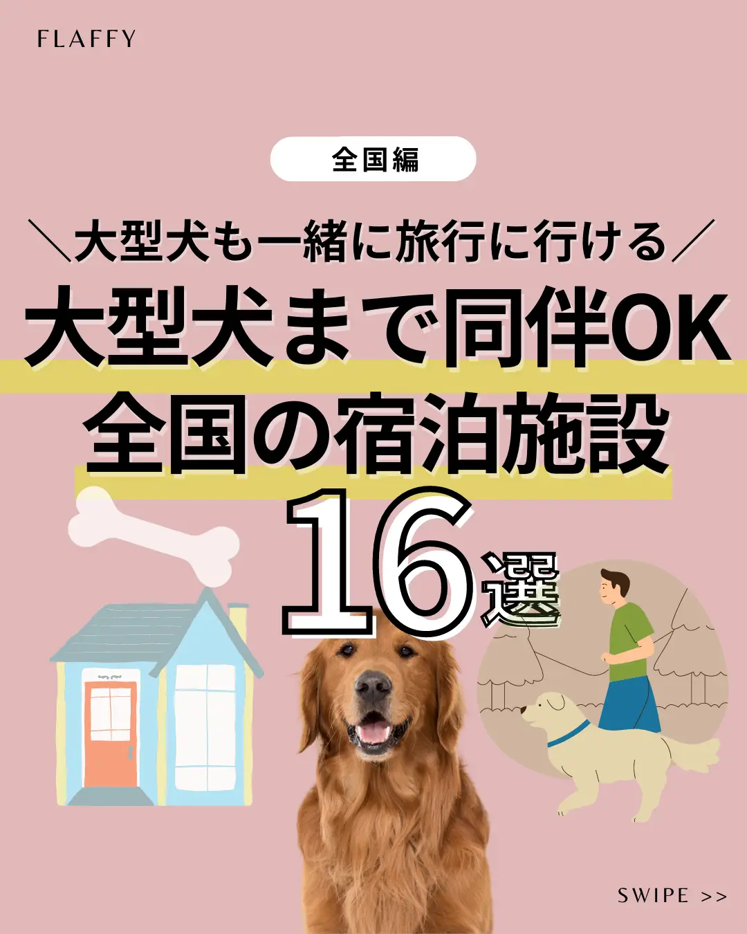 大型犬とお出かけバック Lemon8検索