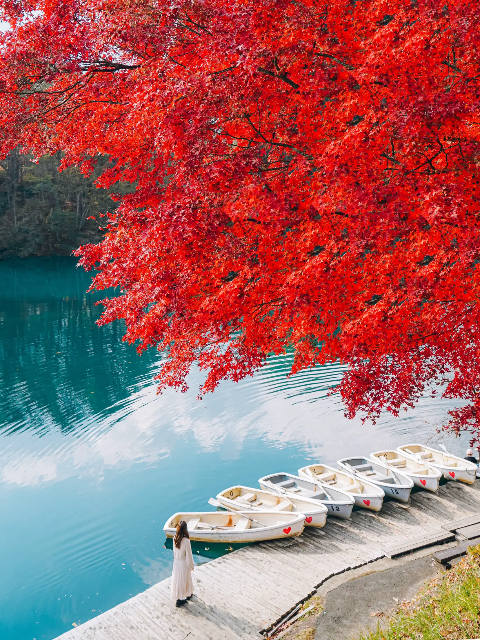 今が見頃🍁】湖面の青と紅葉の朱のコントラストが美しい神秘の湖沼