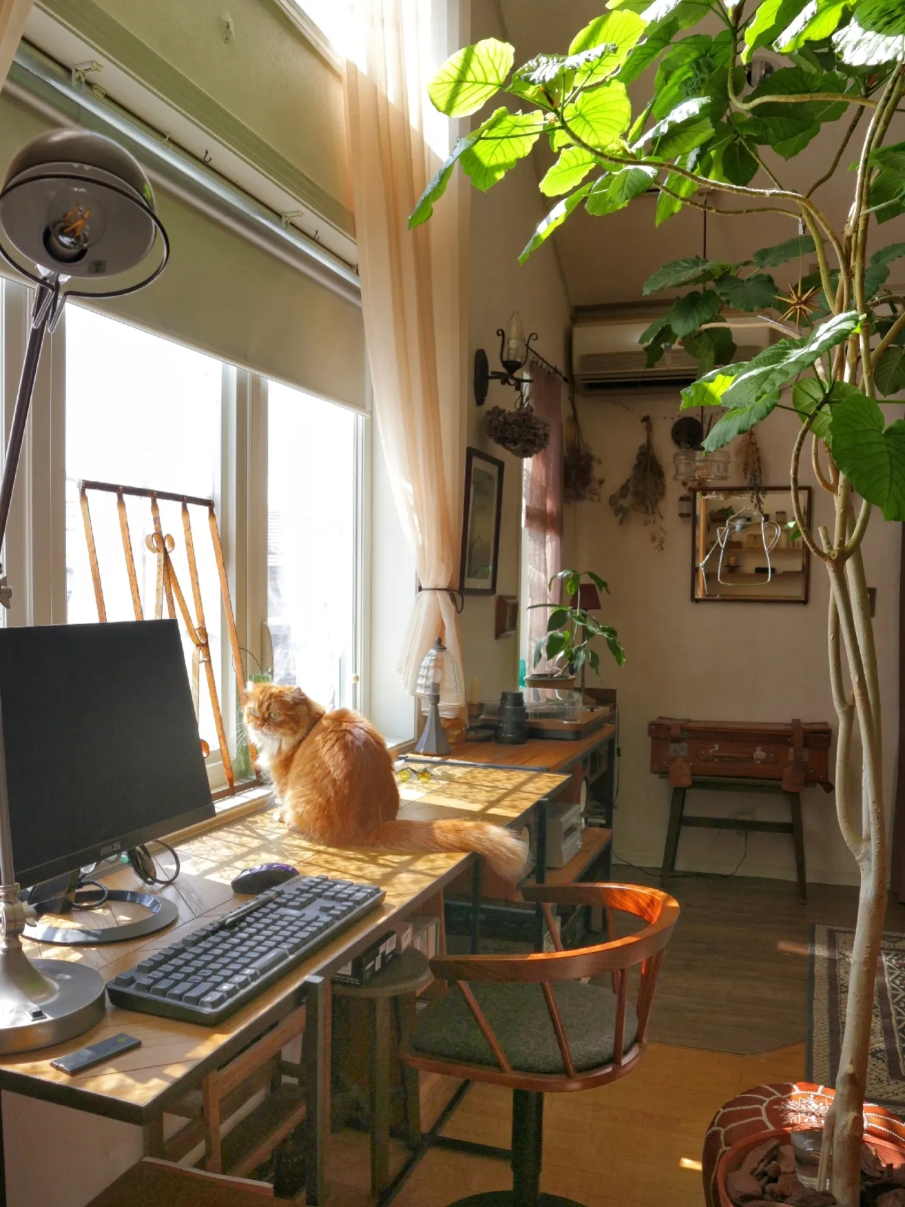 窓際のカウンターテーブル | ちくわ┊猫のいる暮らしが投稿したフォト