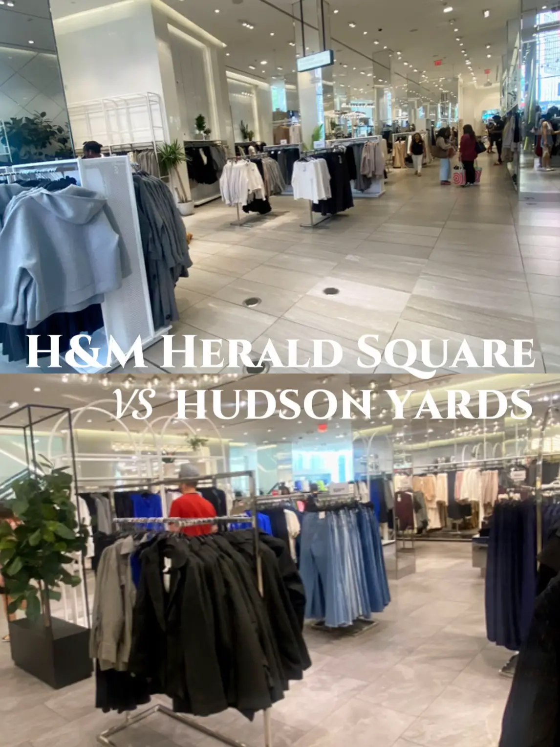 H and m herald cheap square