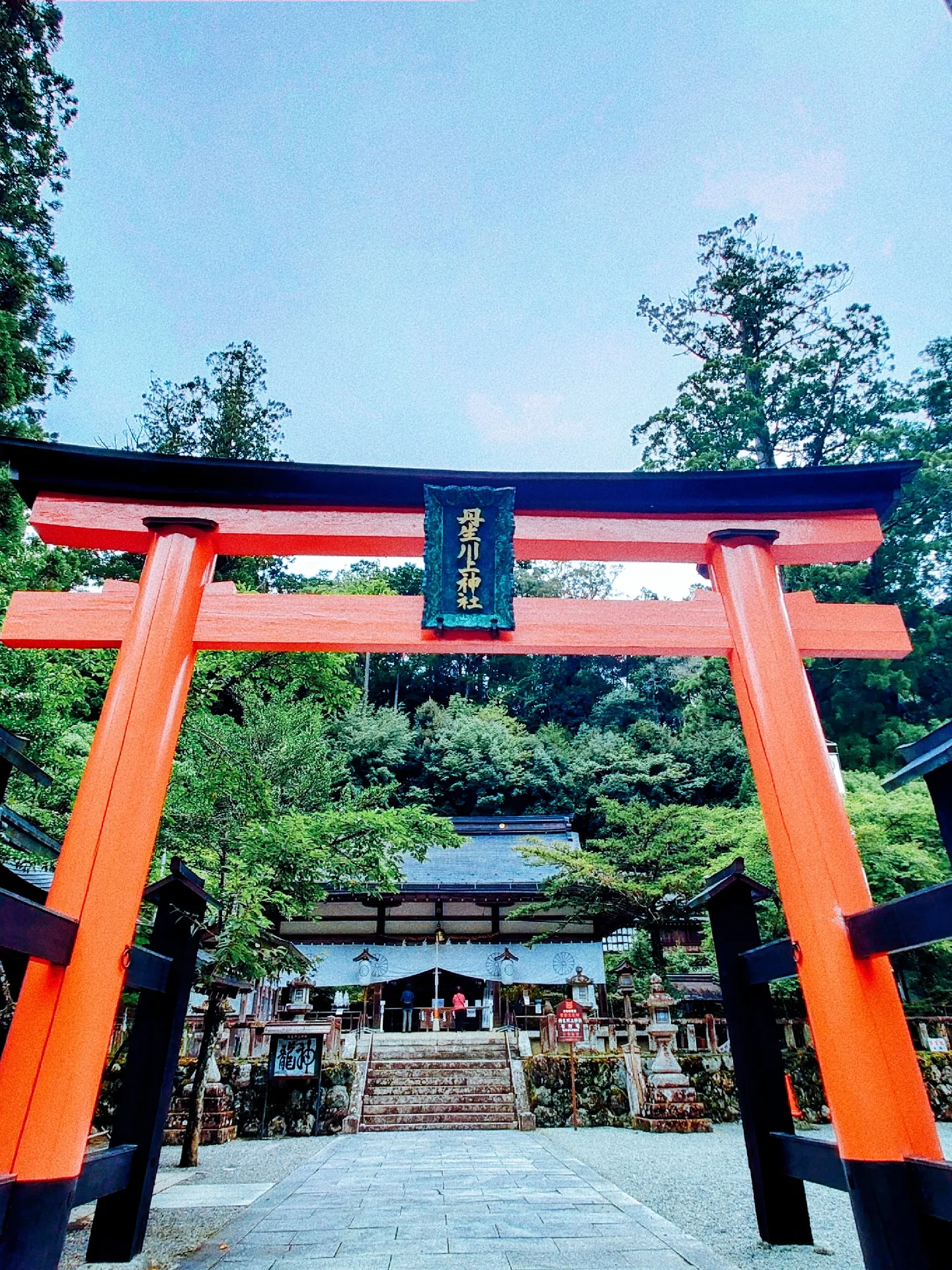 籠（こ） 吉田穂津句集/花神社/吉田穂津 - 本