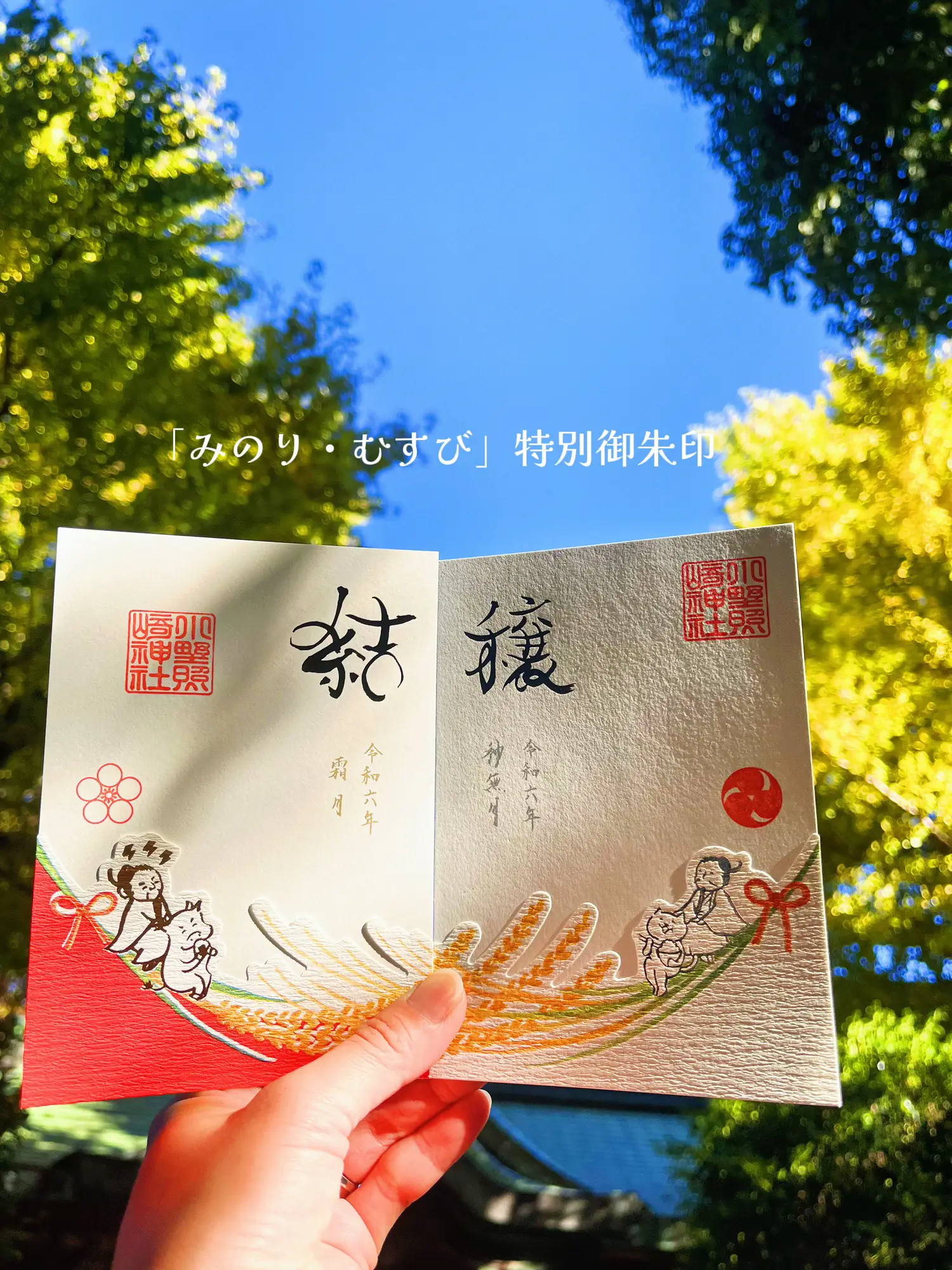 御朱印帳　２冊　56箇所　パワースポット　世界遺産　御朱印 御朱印帳 2冊 56箇所 パワースポット 世界遺産 御朱印 その他