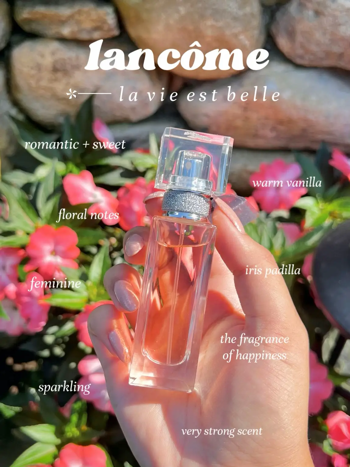 Perfume Bottle Sizes Guide: Which One Do You Need? – FragranceAdvice