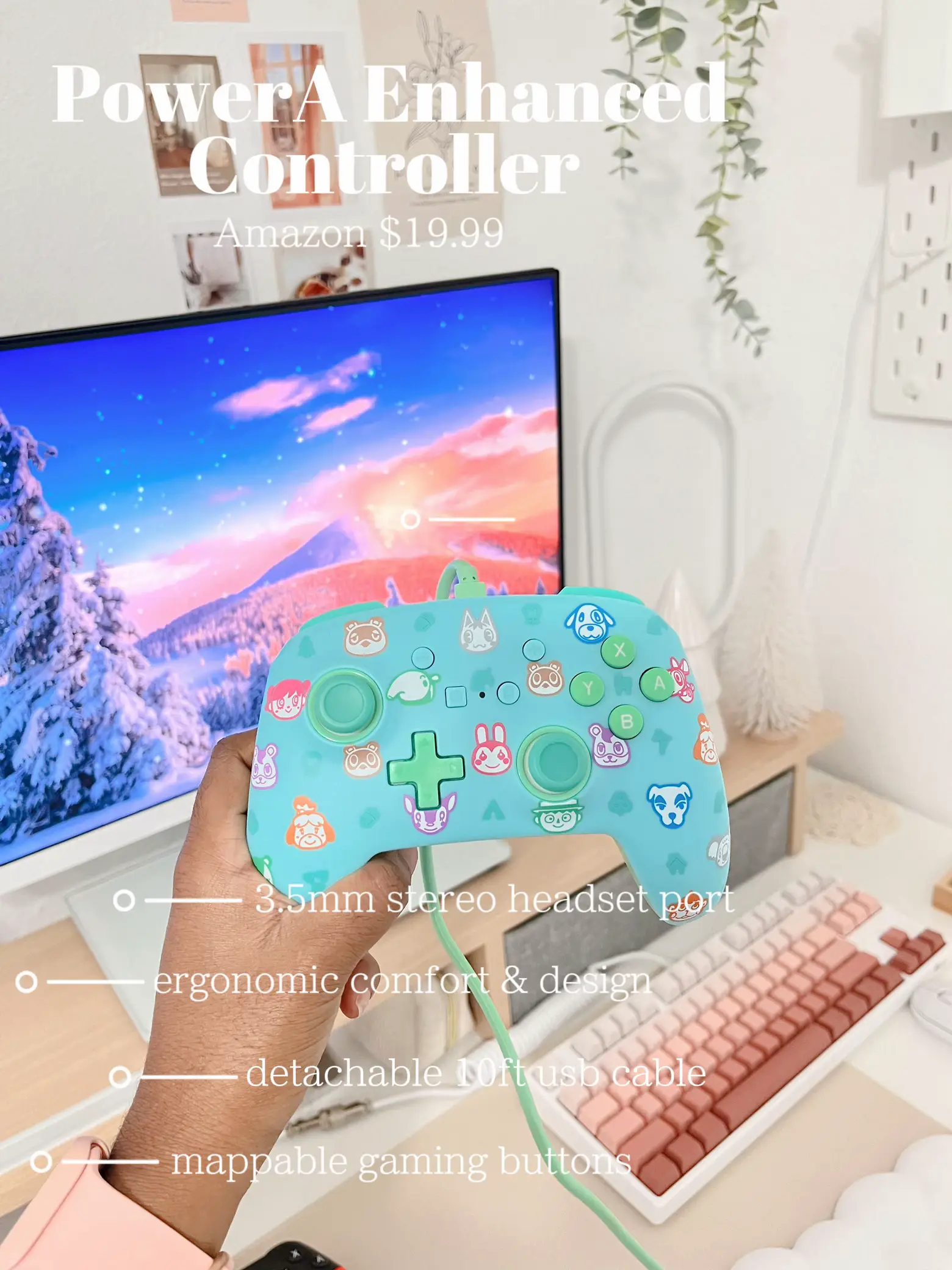 BUDGET NINTENDO SWITCH CONTROLLERS! แกลเลอรีที่โพสต์โดย doms.cozyspot