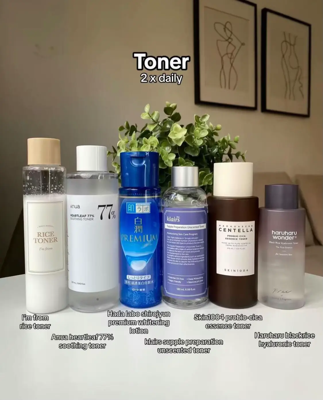 Heart leaf 77% vs. 30Day Miracle Tone vs. Rice Toner [Product Question] :  r/SkincareAddiction
