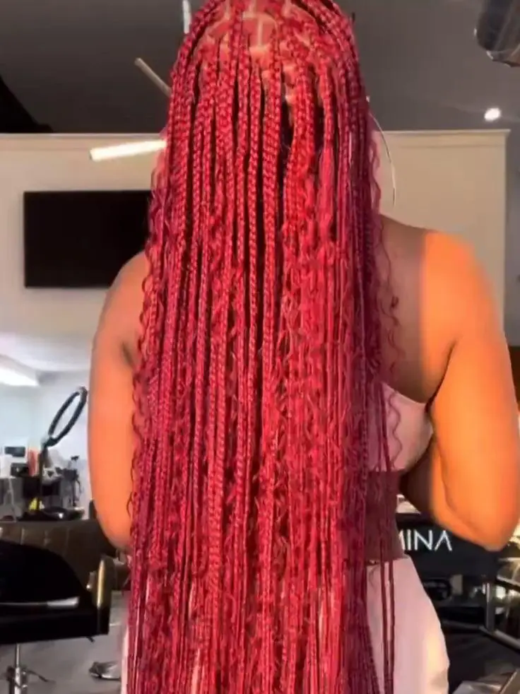 19 top Red Braids Inspo ideas in 2024