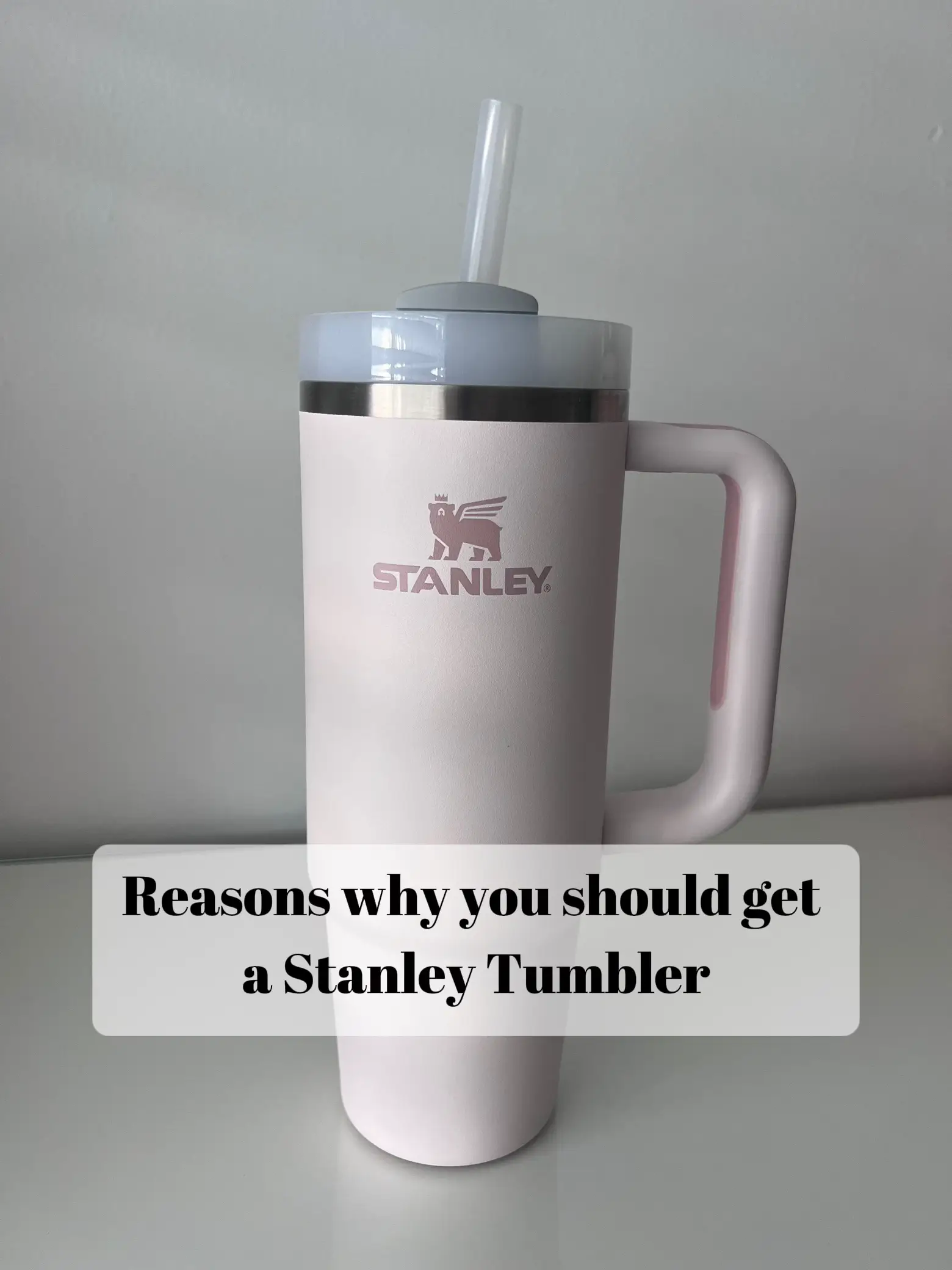 I'm not sure what you guys are using to clean your straws but I've rea, Stanley Tumbler
