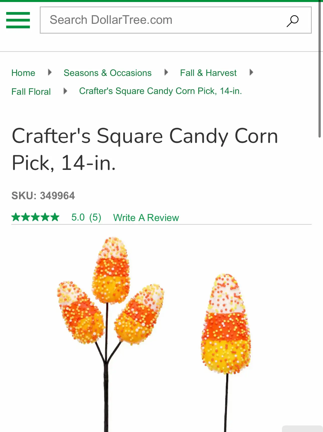 TESTING OUT & REVIEWING DOLLAR TREE CRAFTER'S SQUARE PRODUCTS