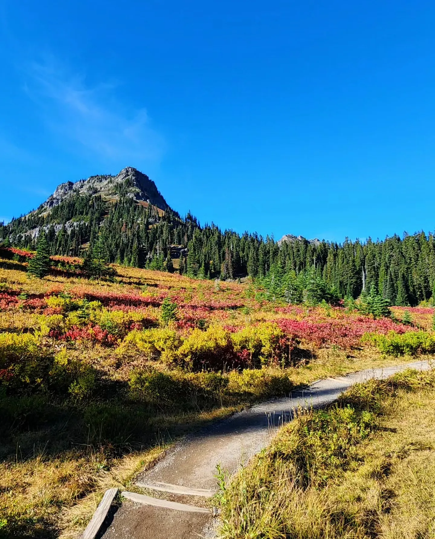Loop Mount Rainer Naches Peak Loop, Mt. Rainier National Park | Galeri diposting oleh ...
