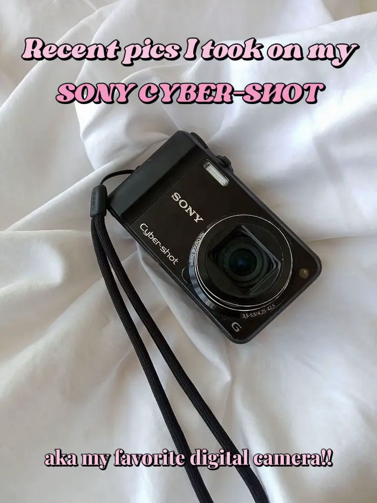 Sony Cyber-shot DSC-W50 6.0MP Digital Camera - Silver for sale online