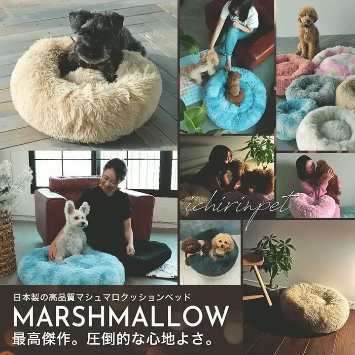 If you purchase a marshmallow cushion bed for a limited time, you