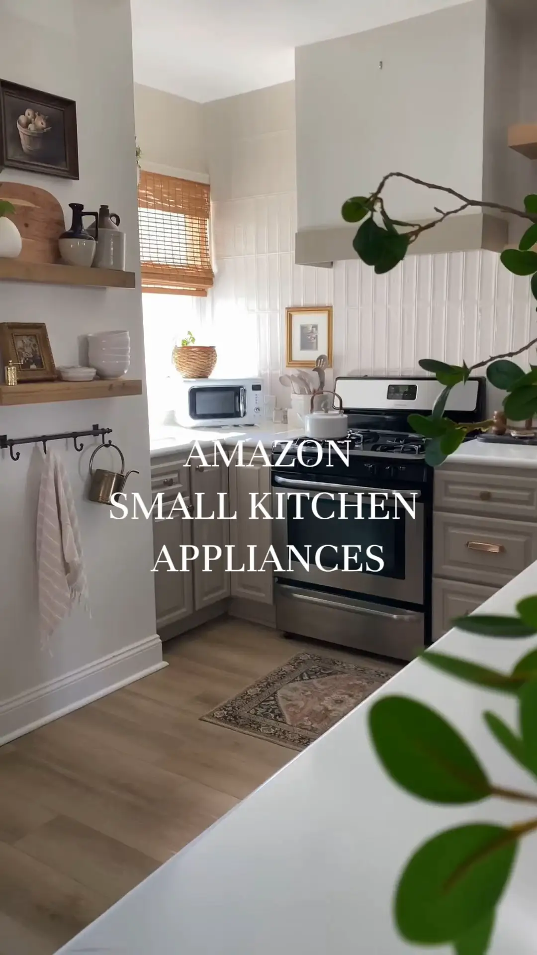kitchen appliances - Lemon8 Search