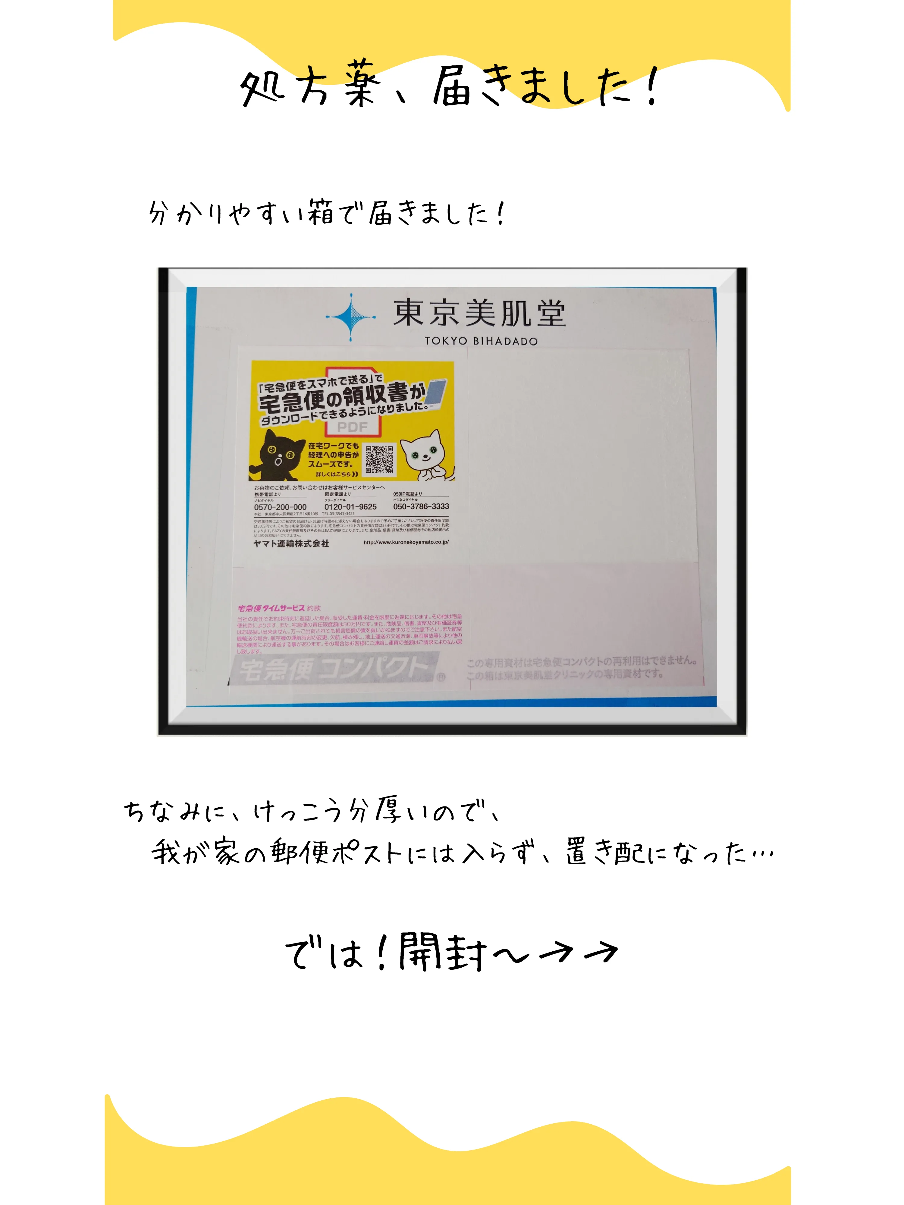 東京美肌堂の薬届いた！ | いくいずいっとが投稿したフォトブック | Lemon8