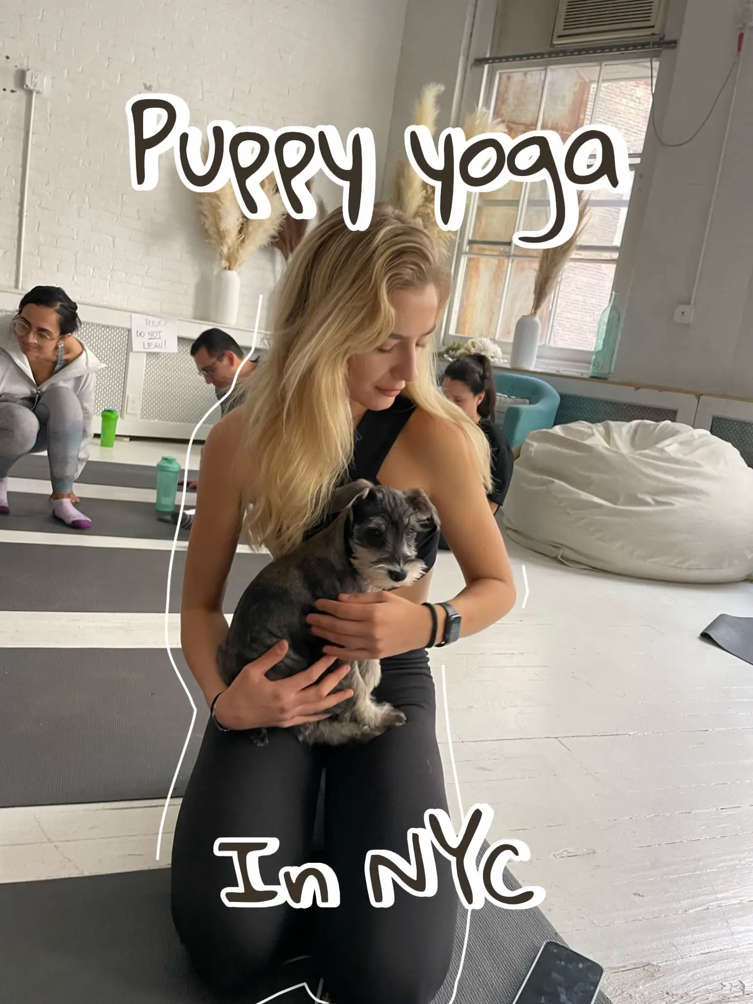Puppy Yoga in Toronto