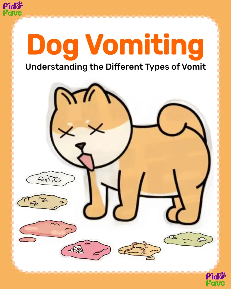 Different types of dog hot sale vomit