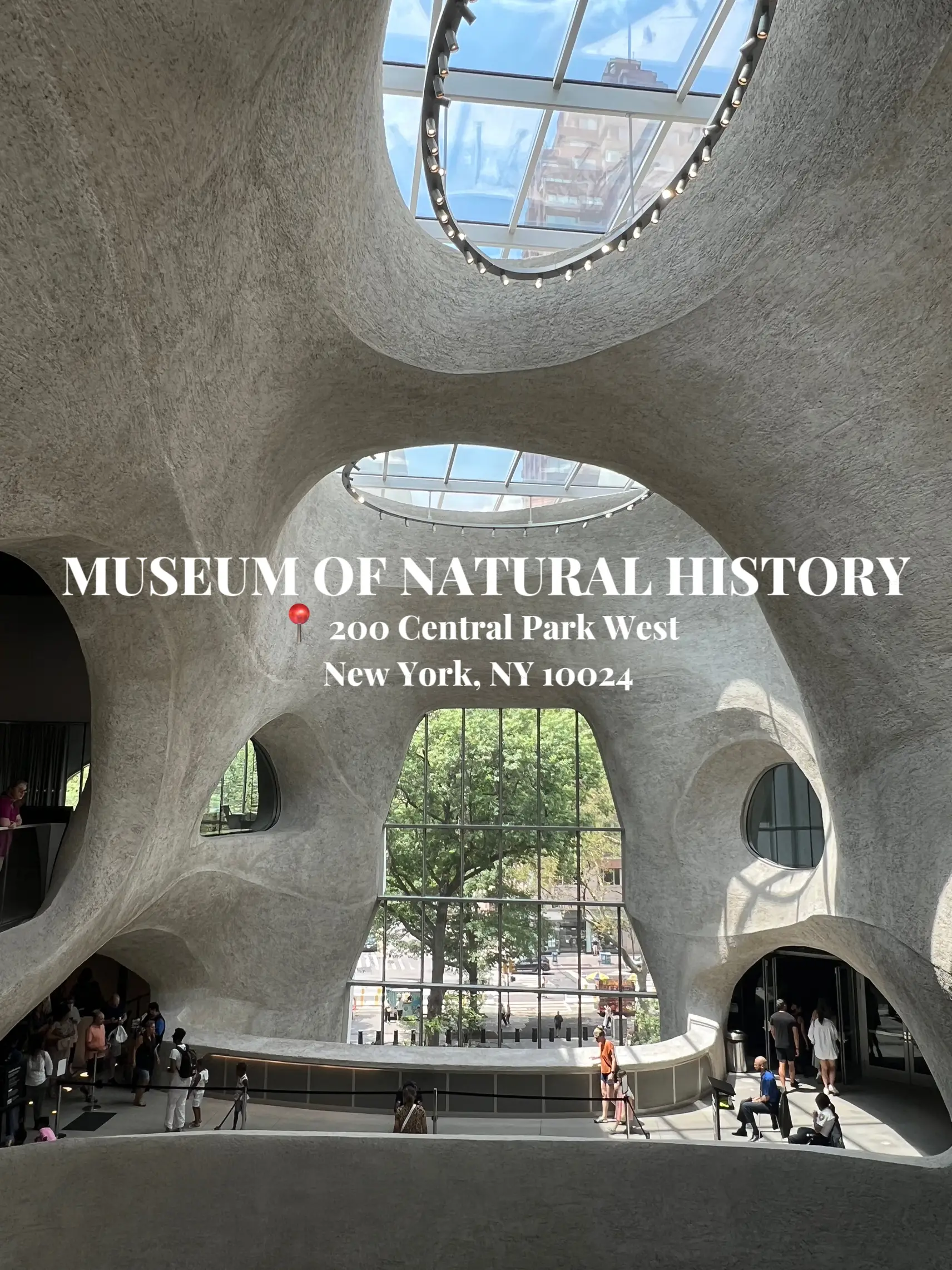 AMERICAN MUSEUM OF NATURAL HISTORY's images