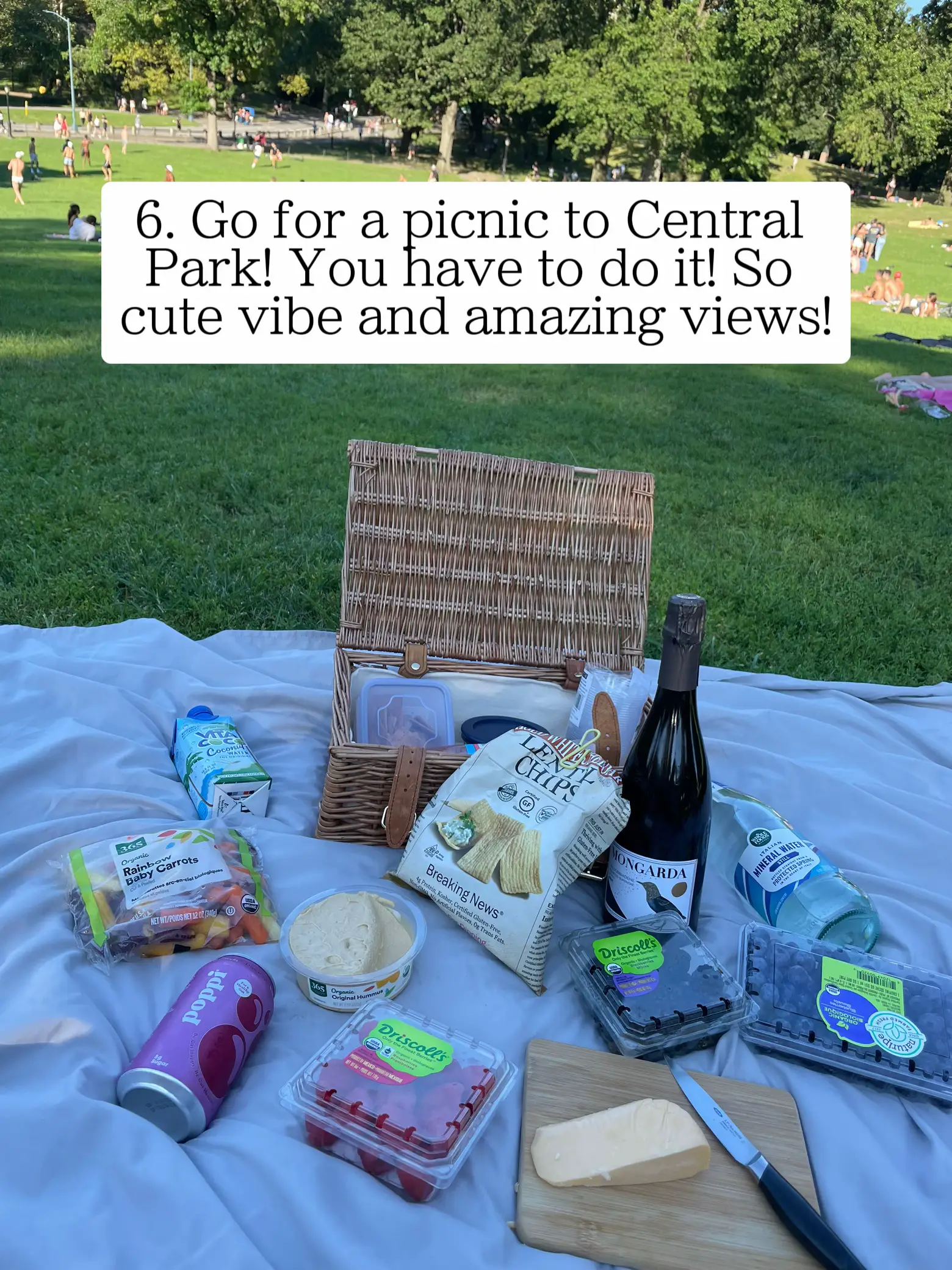  A basket of food is on a blanket in Central Park.