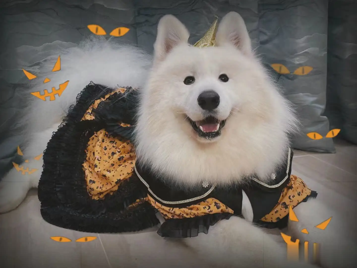 Samoyed costume 2024 for human