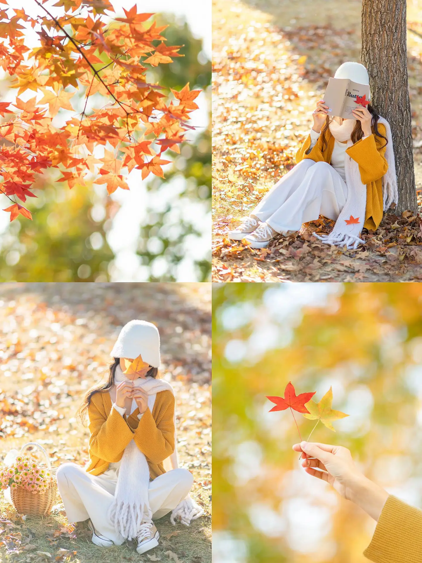 🍂✨ 秋の紅葉写真の楽しみ方 ✨🍂 | CuteRenaMagic_が投稿したフォト