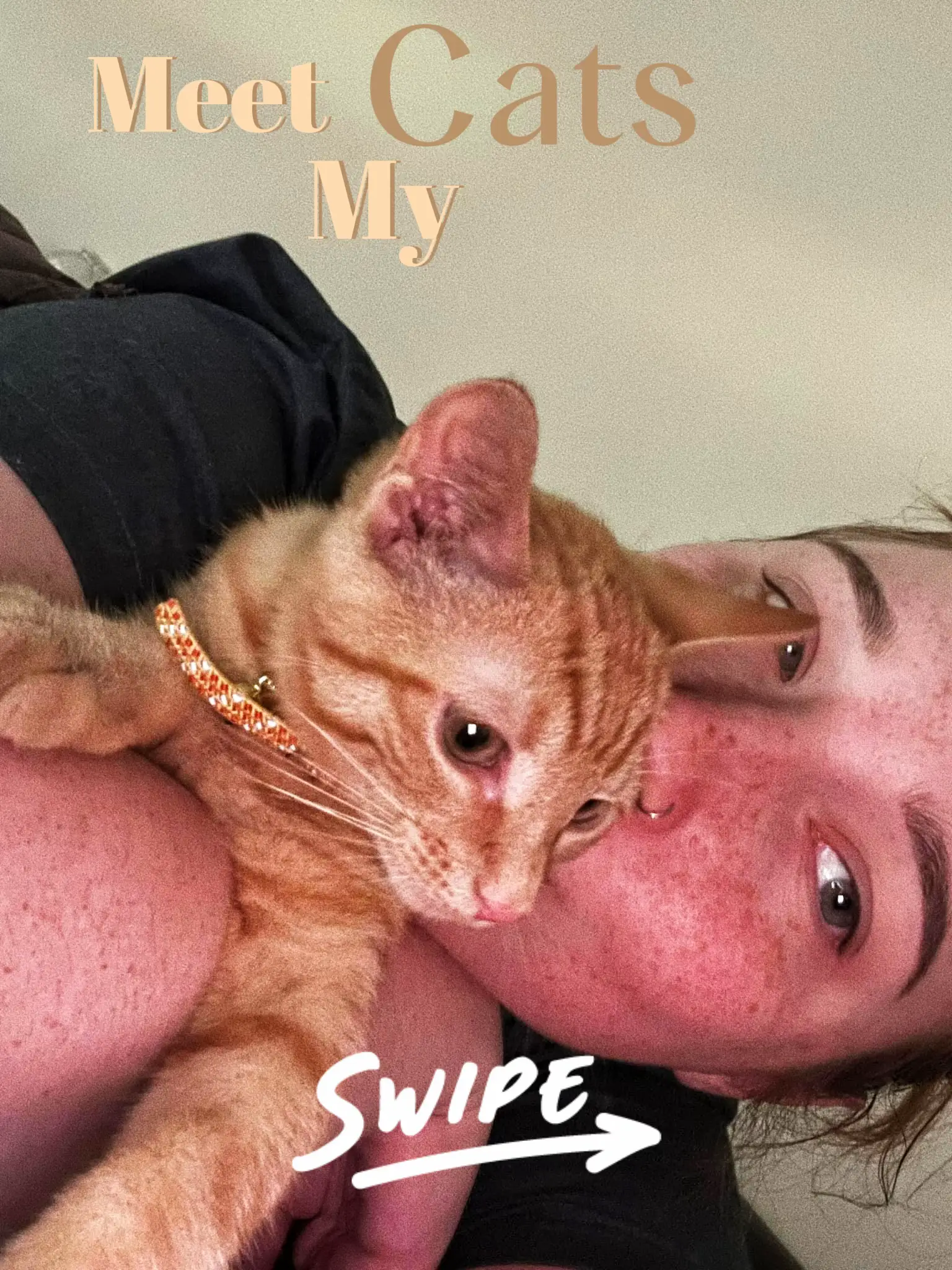 Simon's Cat 🐾 on X: Meet the Kitten, everyone's favorite