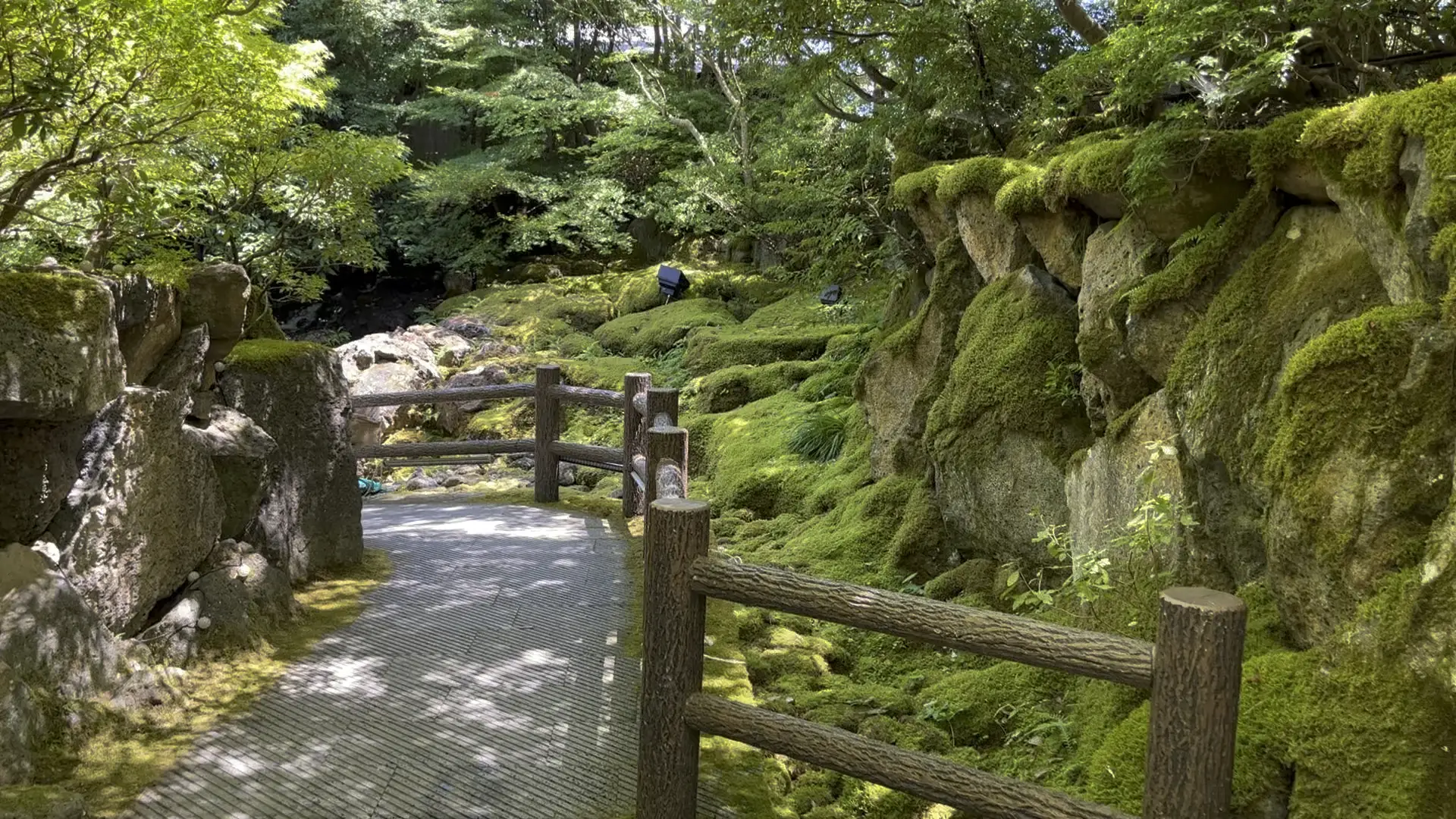 島根県 由志園 牡丹よりも高麗人参よりも庭園が素晴らしい！ | あき姉の投稿動画 | Lemon8