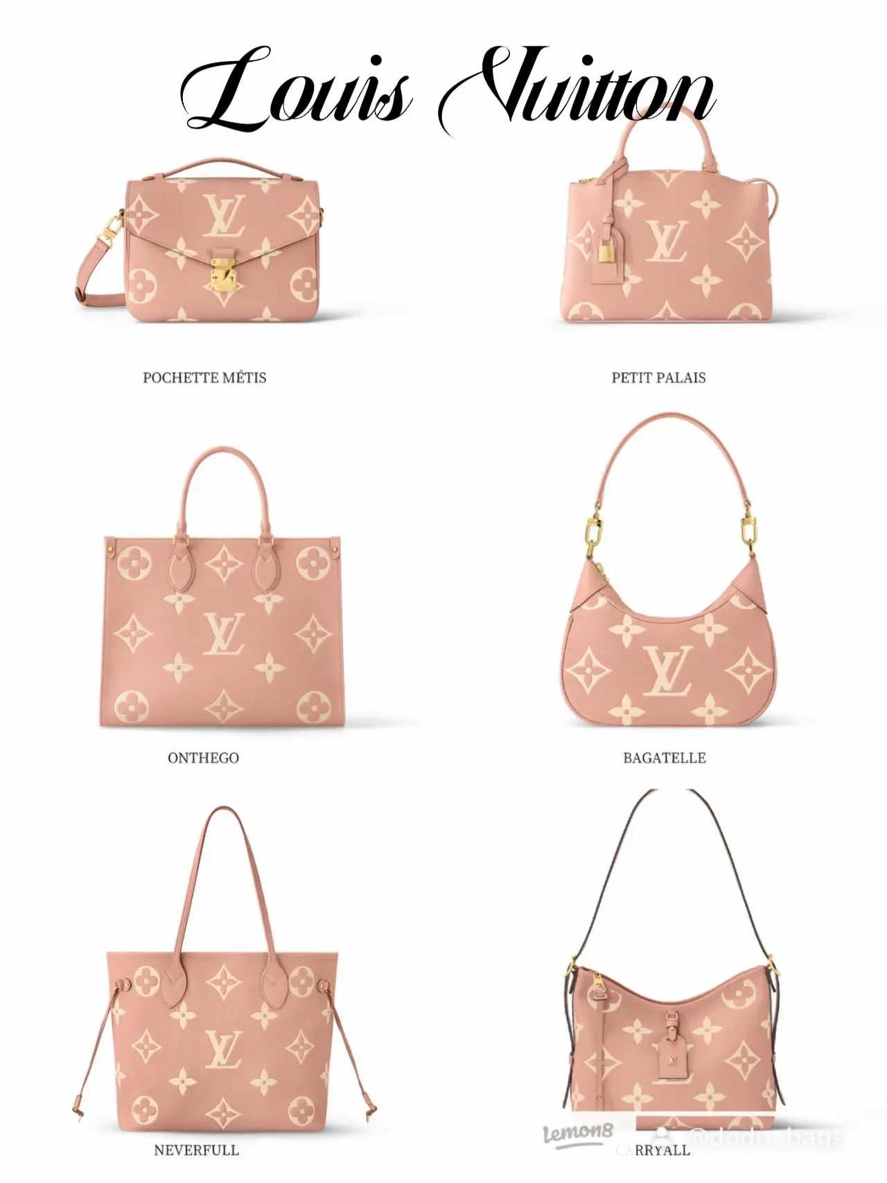 Hi all! Which would you choose to get out of these two and why? Pochette  Coussin or Speedy Bandouliere 22 : r/Louisvuitton