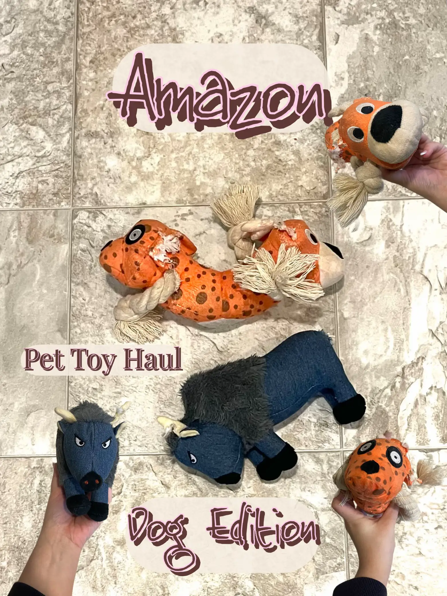 Amazon Pet Toys Haul ⭐️🐾🫶🏻 Gallery posted by Nicolette Lemon8
